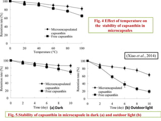 Fig. 4 Effect of temperature on
the stability of capsanthin in
microcapsules
Fig. 5.Stability of capsanthin in microcapsule in dark (a) and outdoor light (b)
(Xiao et al., 2014)
(a) Dark (b) Outdoorlight
28
 