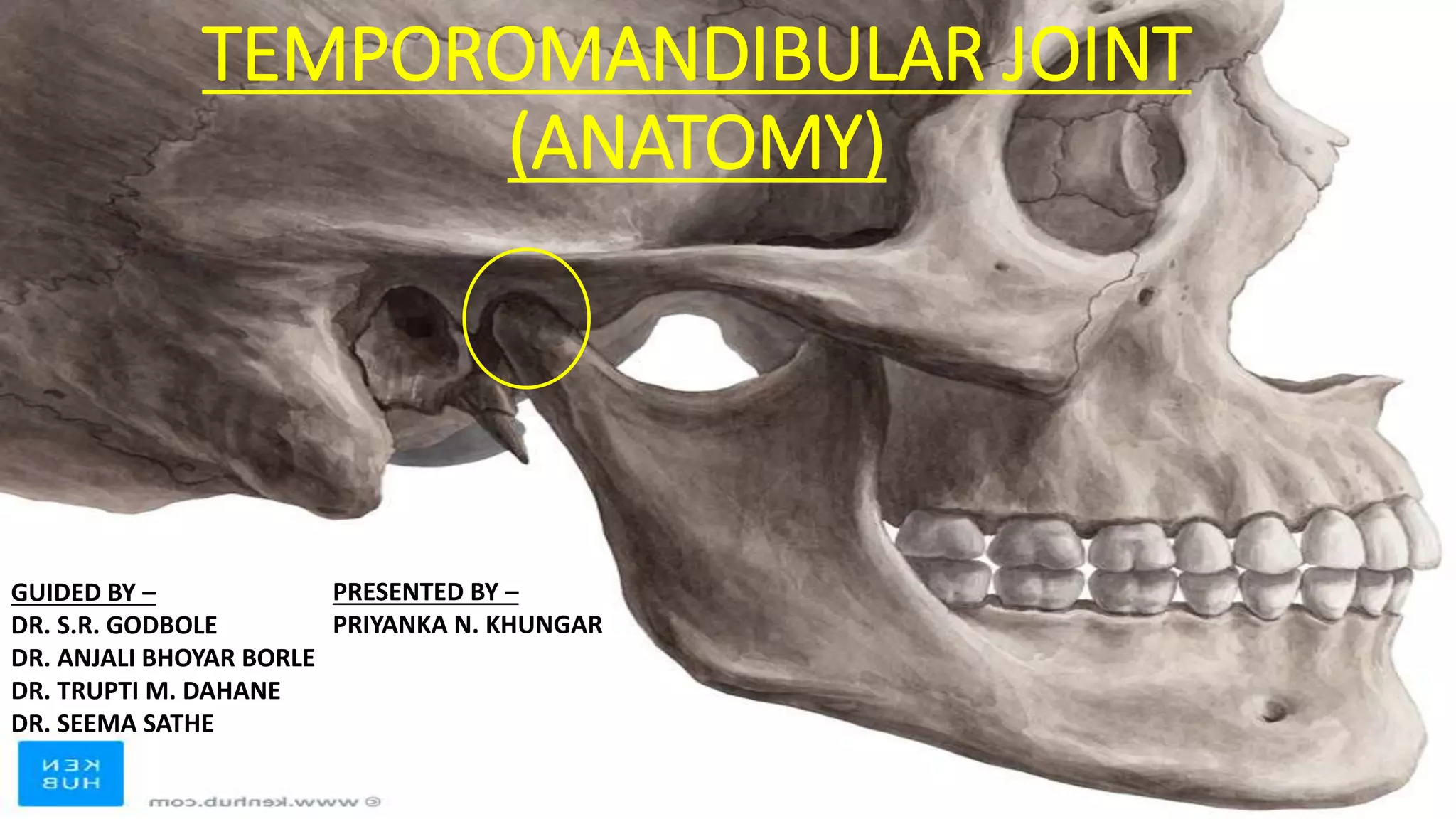 Temporomandibular Joint (Anatomy) | PPTX