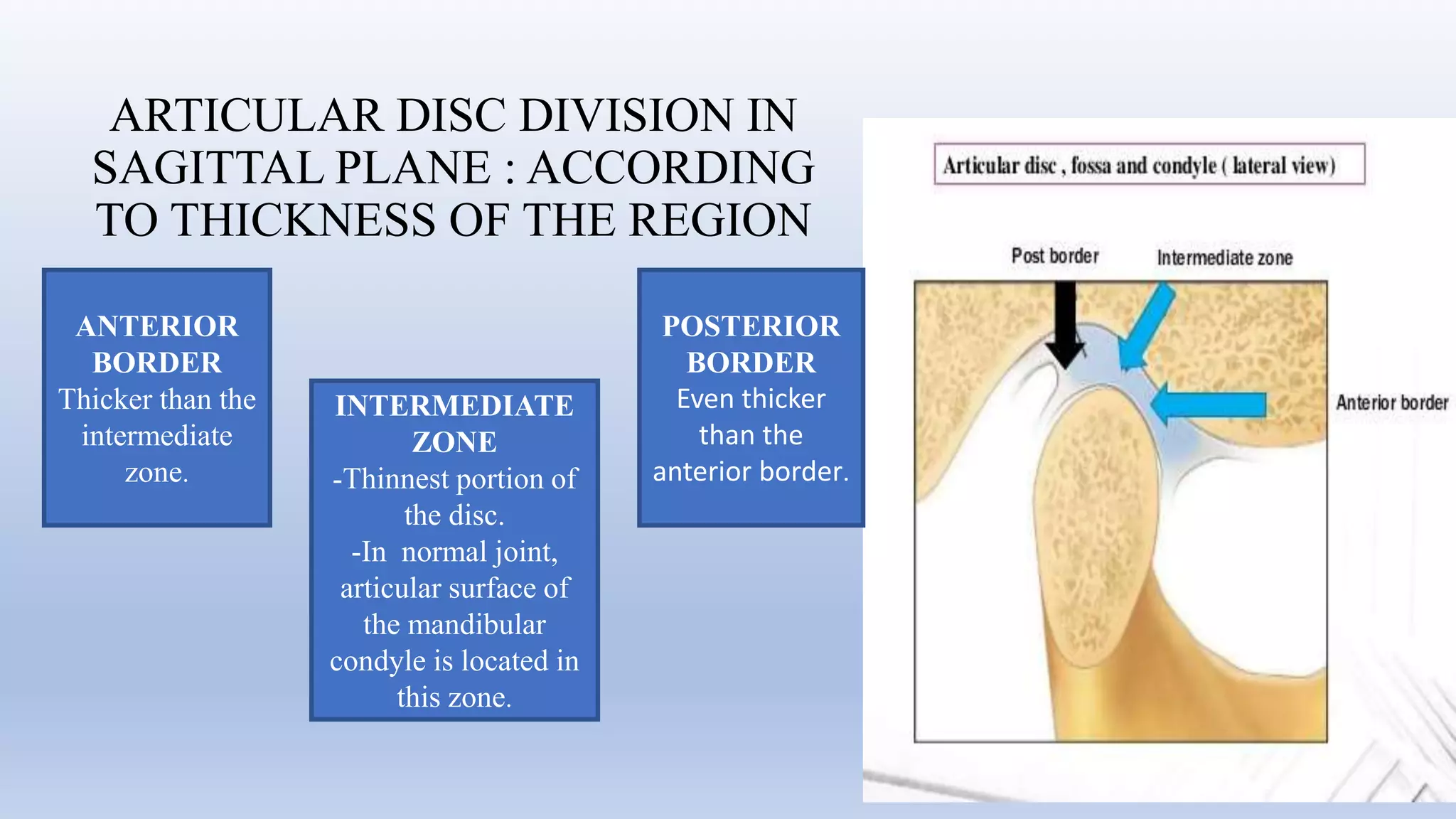 Temporomandibular Joint (Anatomy) | PPTX