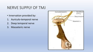 Temporomandibular Joint (Anatomy) | PPTX