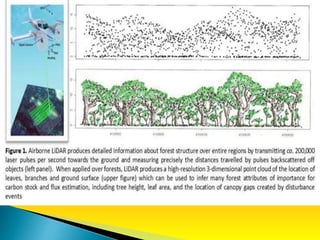 Application of remote sensing in forest ecosystem | PPTX