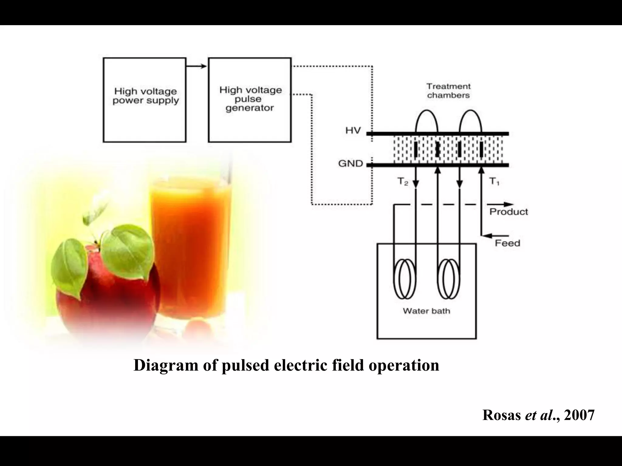Diagram of pulsed electric field operation
Rosas et al., 2007
 