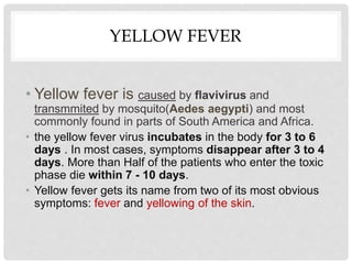 YELLOW FEVER
• Yellow fever is caused by flavivirus and
transmmited by mosquito(Aedes aegypti) and most
commonly found in parts of South America and Africa.
• the yellow fever virus incubates in the body for 3 to 6
days . In most cases, symptoms disappear after 3 to 4
days. More than Half of the patients who enter the toxic
phase die within 7 - 10 days.
• Yellow fever gets its name from two of its most obvious
symptoms: fever and yellowing of the skin.
 