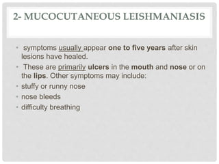 2- MUCOCUTANEOUS LEISHMANIASIS
• symptoms usually appear one to five years after skin
lesions have healed.
• These are primarily ulcers in the mouth and nose or on
the lips. Other symptoms may include:
• stuffy or runny nose
• nose bleeds
• difficulty breathing
 