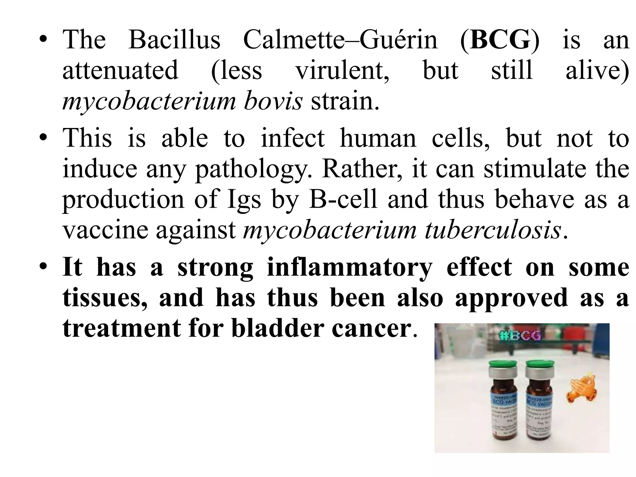 immunostimulants | PPT