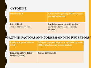 Interleukin-8 Chemotaxis; guiding PMNs toward
the sulcus bottom
Interleukin-1
Tumor necrosis factor
Pro-inflammatory cytokines that
contribute to the innate immune
defense
CYTOKINE
GROWTH FACTORS AND CORRESPONDING RECEPTORS
Epidermal growth factor
(EGF)
Mitogen that participates in epithelial growth,
differentiation, and wound healing
Epidermal growth factor
receptor (EGFR)
Signal transduction
 