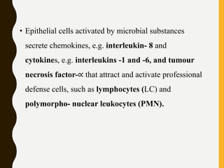• Epithelial cells activated by microbial substances
secrete chemokines, e.g. interleukin- 8 and
cytokines, e.g. interleukins -1 and -6, and tumour
necrosis factor-∝ that attract and activate professional
defense cells, such as lymphocytes (LC) and
polymorpho- nuclear leukocytes (PMN).
 