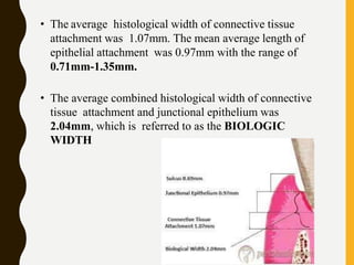 • The average histological width of connective tissue
attachment was 1.07mm. The mean average length of
epithelial attachment was 0.97mm with the range of
0.71mm-1.35mm.
• The average combined histological width of connective
tissue attachment and junctional epithelium was
2.04mm, which is referred to as the BIOLOGIC
WIDTH
 