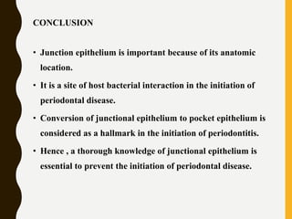 CONCLUSION
• Junction epithelium is important because of its anatomic
location.
• It is a site of host bacterial interaction in the initiation of
periodontal disease.
• Conversion of junctional epithelium to pocket epithelium is
considered as a hallmark in the initiation of periodontitis.
• Hence , a thorough knowledge of junctional epithelium is
essential to prevent the initiation of periodontal disease.
 