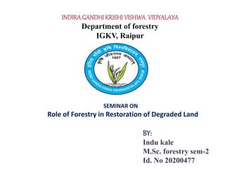 INDIRAGANDHI KRISHI VISHWA VIDYALAYA
Department of forestry
IGKV, Raipur
SEMINAR ON
Role of Forestry in Restoration of Degraded Land
BY:
Indu kale
M.Sc. forestry sem-2
Id. No 20200477
 