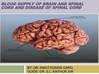 BY: DR. ANKIT KUMAR GARG
GUIDE: DR. S.L. MATHUR SIR
BLOOD SUPPLY OF BRAIN AND SPINAL
CORD AND DISEASE OF SPINAL CORD
 