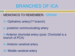 BRANCHES OF ICA
 MEMONICS TO REMEMBER- OPAAM
O- Opthalmic artery(1st branch)
p- posterior communicating artery
A-Anterior choriodal artery (post. Choriodal is a
branch of PCA)
A- Anterior cerebral artery
M- Middle cerebral artery
 