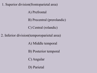 1. Superior division(frontoparietal area)
A) Prefrontal
B) Precentral (prerolandic)
C) Central (rolandic)
2. Inferior division(temporoparietal area)
A) Middle temporal
B) Posterior temporal
C) Angular
D) Parietal
 