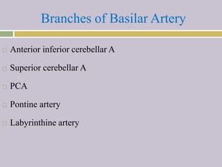 Branches of Basilar Artery
 Anterior inferior cerebellar A
 Superior cerebellar A
 PCA
 Pontine artery
 Labyrinthine artery
 