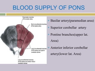 BLOOD SUPPLY OF PONS
 Basilar artery(paramedian area)
 Superior cerebellar artery
 Pontine branches(upper lat.
Area)
 Anterior inferior cerebellar
artery(lower lat. Area)
 