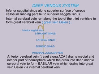DEEP VENOUS SYSTEM
• Inferior saggital sinus along superior surface of corpus
callosum running parallel to superior saggital sinus.
• Internal cerebral vein run along the top of the third ventricle to
form great cerebral vein ( great vein Galen ) .
• Inferior sagital sinus
STRAIGHT SINUS
LATERAL SINUS
SIGMOID SINUS
INTERNAL JUGULAR VEIN
Anterior cerebral vein (travel along ACA ) drains medial and
inferior part of hemisphere which the drain into deep middle
cerebral vein to form BASILAR vein which drains into great
vein Galen via internal cerebral vein .
 