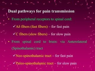Dual pathways for pain transmission
• From peripheral receptors to spinal cord:
Aδ fibers (fast fibers) – for fast pain
C fibers (slow fibers) – for slow pain
• From spinal cord to brain: via Anterolateral
(Spinothalamic) tract
Neo-spinothalamic tract – for fast pain
Paleo-spinothalamic tract – for slow pain
 