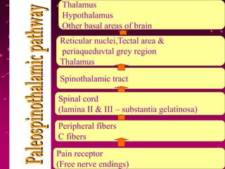 Reticular nuclei,Tectal area &
periaqueduvtal grey region
Thalamus
Spinothalamic tract
Spinal cord
(lamina II & III – substantia gelatinosa)
Peripheral fibers
C fibers
Pain receptor
(Free nerve endings)
Thalamus
Hypothalamus
Other basal areas of brain
 
