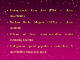 • Periaquaductal Gray Area (PGA) – release
enkephalins
• Nucleus Raphe Magnus (NRM) – release
serotonin
• Release of these neurotransmitters inhibit
ascending neurons
• Endogenous opioid peptides - endorphins &
enkephalins causes analgesia.
 