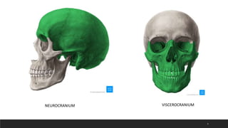 theories of growth and development- orthodontics | PPTX