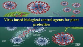 Biological Protection System biological control agents for plant protection .pptx