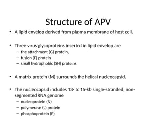 Comprehensive Overview of Avian Pneumovirus: Epidemiology, Pathogenesis ...