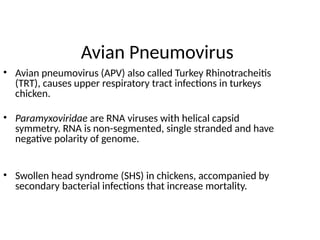 Comprehensive Overview of Avian Pneumovirus: Epidemiology, Pathogenesis ...