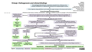 Stridor Algorithm Seminar 2 - Acute stridor, causes, features and management | PPTX