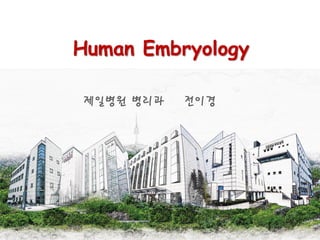 Human Embryology
제일병원 병리과 전이경
 