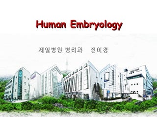 Human EmbryologyHuman Embryology
제일병원 병리과 전이경
 