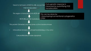 Head to tail fusion of BCR to ABL occurs following
9:22 translocation
This region is transcribed into BCR-ABL mRNA
BCR-ABL protein is produced(p210)
This protein Dimerises and becomes active tyrosine kinase
I Intracellular kinases are phosphorylated(eg c-myc,shc)
Cell proliferates,evades apoptosis
Cyto-genetic response is
measured by quantifying 9:22
transolocation.
This can be done by
1.Karyotyping/conventional cytogenetics
2.FISH
 