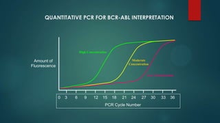 QUANTITATIVE PCR FOR BCR-ABL INTERPRETATION
0 3 6 9 12 15 18 21 24 27 30 33 36
PCR Cycle Number
Amount of
Fluorescence
High Concentration
Moderate
Concentration
Low Concentration
 