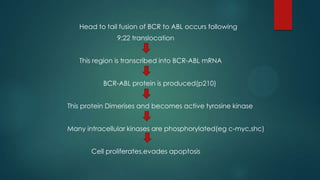 Head to tail fusion of BCR to ABL occurs following
9:22 translocation
This region is transcribed into BCR-ABL mRNA
BCR-ABL protein is produced(p210)
This protein Dimerises and becomes active tyrosine kinase
Many intracellular kinases are phosphorylated(eg c-myc,shc)
Cell proliferates,evades apoptosis
 