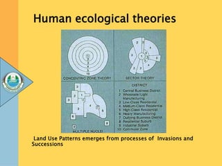 Human ecological theories
Land Use Patterns emerges from processes of Invasions and
Successions
 