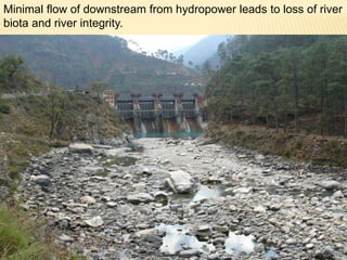 Social and Environmental Impact of hydropower project in Uttarakhand ...