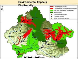 Social and Environmental Impact of hydropower project in Uttarakhand ...