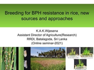 Breeding for BPH resistance in rice, new
sources and approaches
K.A.K.Wijesena
Assistant Director of Agriculture(Research)
RRDI, Batalagoda, Sri Lanka
(Online seminar-2021)
 