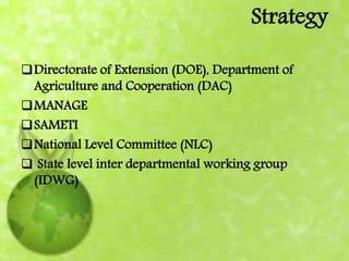 Strategy
Directorate of Extension (DOE), Department of
Agriculture and Cooperation (DAC)
MANAGE
SAMETI
National Level Committee (NLC)
 State level inter departmental working group
(IDWG)
 