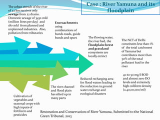 Seminar human impact on rivers | PPTX