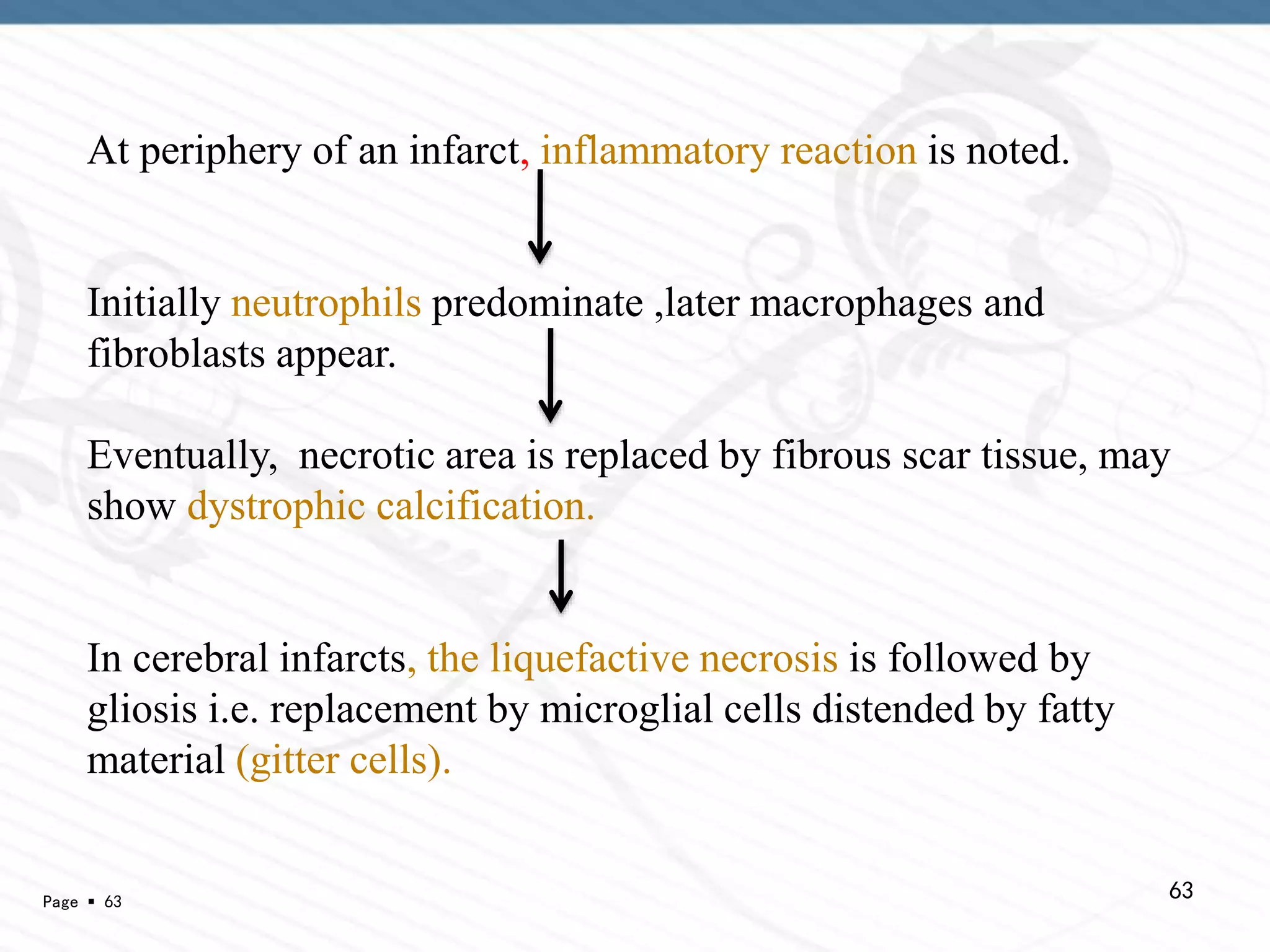 Ischemia and Infarction | PPTX