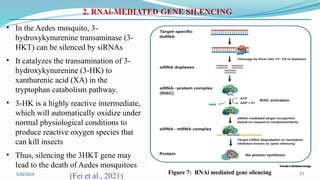 Genetic Modification of Mosquitoes for Innovative Vector Control ...