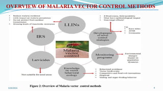 Genetic Modification of Mosquitoes for Innovative Vector Control ...