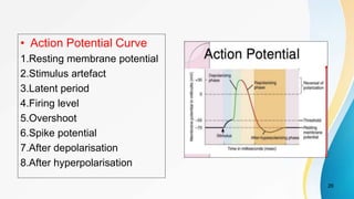 • Action Potential Curve
1.Resting membrane potential
2.Stimulus artefact
3.Latent period
4.Firing level
5.Overshoot
6.Spike potential
7.After depolarisation
8.After hyperpolarisation
26
 