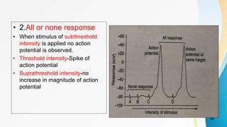 • 2.All or none response
• When stimulus of subthreshold
intensity is applied no action
potential is observed.
• Threshold intensity-Spike of
action potential
• Suprathreshold intensity-no
increase in magnitude of action
potential
28
 