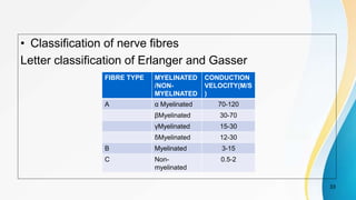 • Classification of nerve fibres
Letter classification of Erlanger and Gasser
33
FIBRE TYPE MYELINATED
/NON-
MYELINATED
CONDUCTION
VELOCITY(M/S
)
A α Myelinated 70-120
βMyelinated 30-70
γMyelinated 15-30
ẟMyelinated 12-30
B Myelinated 3-15
C Non-
myelinated
0.5-2
 