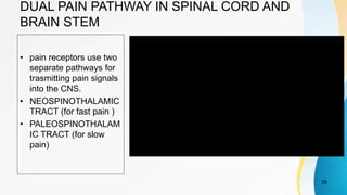DUAL PAIN PATHWAY IN SPINAL CORD AND
BRAIN STEM
• pain receptors use two
separate pathways for
trasmitting pain signals
into the CNS.
• NEOSPINOTHALAMIC
TRACT (for fast pain )
• PALEOSPINOTHALAM
IC TRACT (for slow
pain)
39
 