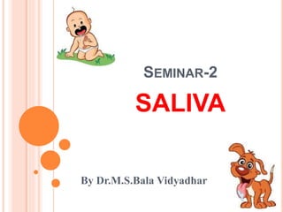 SEMINAR-2
SALIVA
By Dr.M.S.Bala Vidyadhar
 