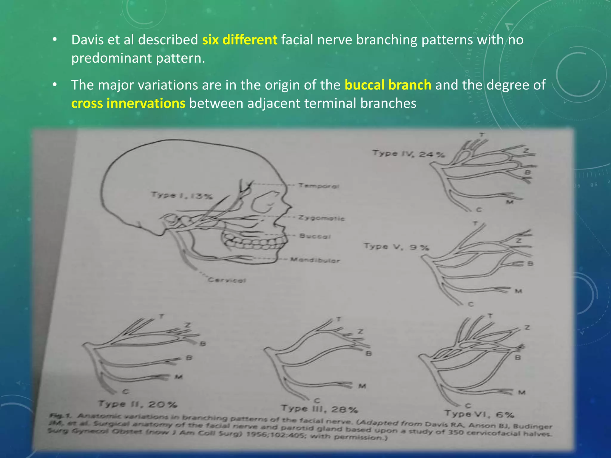 Surgical Anatomy of Salivary Glands and its Applied aspects | PPTX