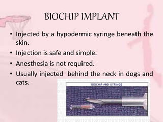 BIOCHIP IMPLANT
• Injected by a hypodermic syringe beneath the
skin.
• Injection is safe and simple.
• Anesthesia is not required.
• Usually injected behind the neck in dogs and
cats.
 