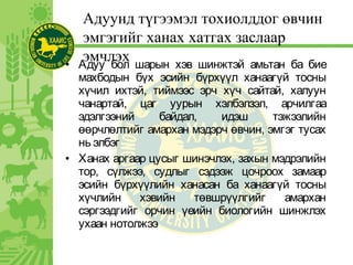 • Адуу бол шарын хэв шинжтэй амьтан ба бие
махбодын бүх эсийн бүрхүүл ханаагүй тосны
хүчил ихтэй, тиймээс эрч хүч сайтай, халуун
чанартай, цаг уурын хэлбэлзэл, арчилгаа
эдэлгээний байдал, идэш тэжээлийн
өөрчлөлтийг амархан мэдэрч өвчин, эмгэг тусах
нь элбэг
• Ханах аргаар цусыг шинэчлэх, захын мэдрэлийн
тор, сүлжээ, судлыг сэдээж цочроох замаар
эсийн бүрхүүлийн ханасан ба ханаагүй тосны
хүчлийн хэвийн төвшрүүлгийг амархан
сэргээдгийг орчин үеийн биологийн шинжлэх
ухаан нотолжээ
Адуунд түгээмэл тохиолддог өвчин
эмгэгийг ханах хатгах заслаар
эмчлэх
 